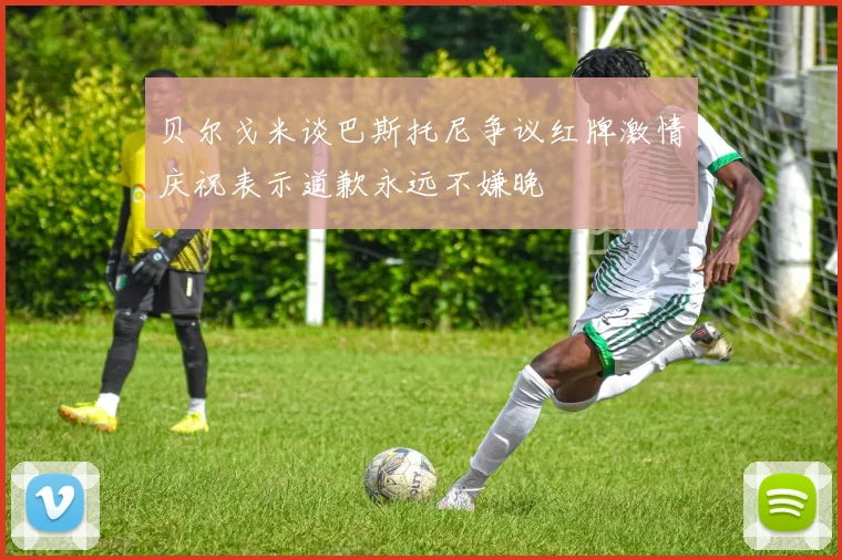 贝尔戈米谈巴斯托尼争议红牌激情庆祝表示道歉永远不嫌晚